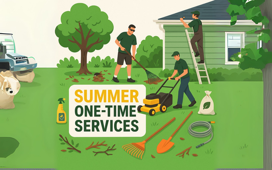 Gutter Cleanup